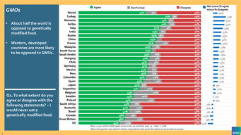 199it 互联网数据资讯中心的专业服务与价值
